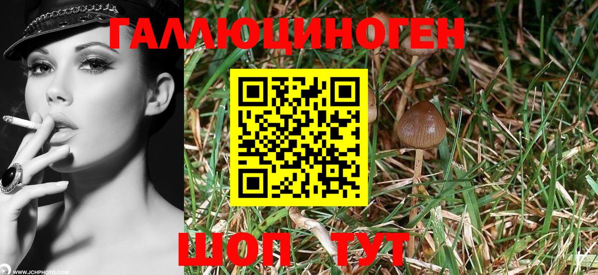 Галлюциногенные грибы Magic Shrooms  Вход с VPN  Жигулёвск 